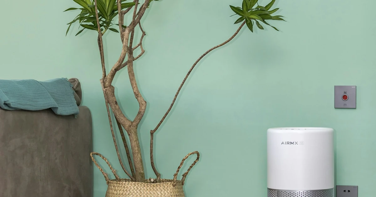 Aparat alb de tratare a aerului lângă o plantă, într-un living luminos