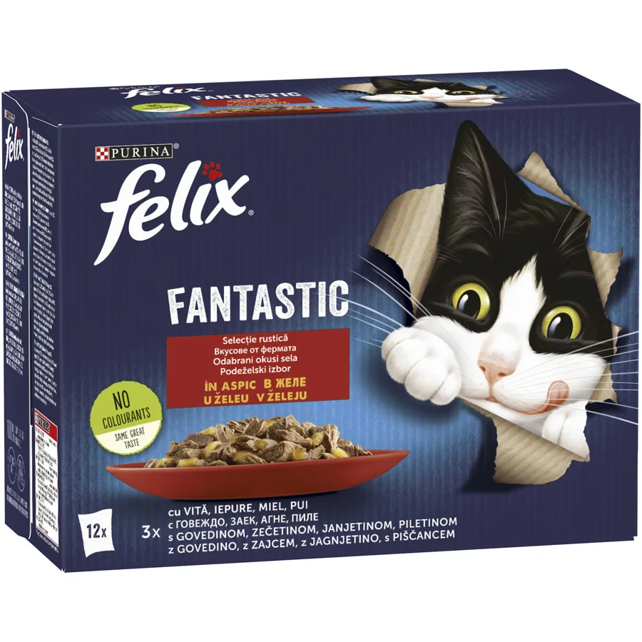 Felix Fantastic Selecție 12×85g