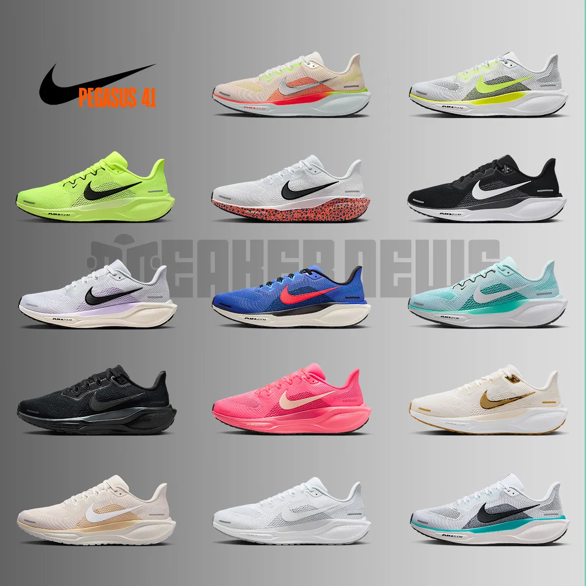 Nike Pegasus 41